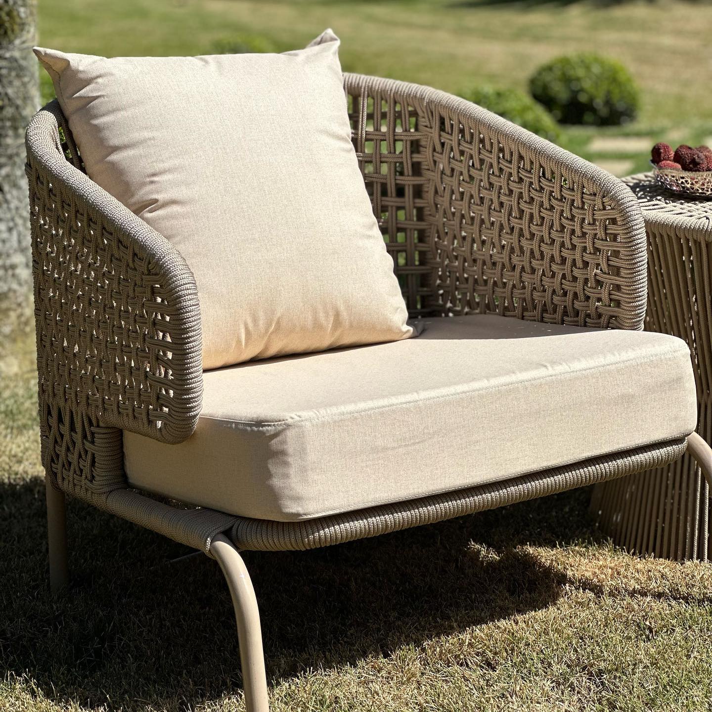Poltronas Tyche